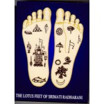 Lotus Feet of Srimati Radharani